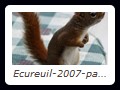 Ecureuil-2007-par-Sylvain-Dallaire
